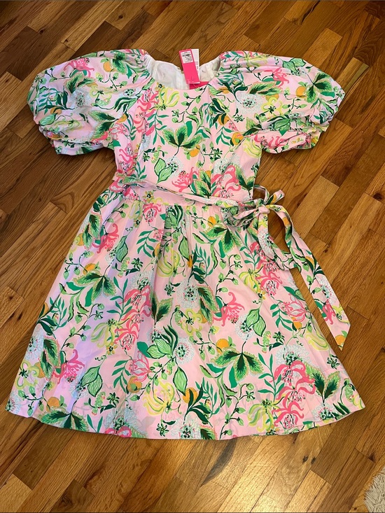 Lilly Pulitzer Dresses & Skirts - Lilly Pulitzer Knoxlie dress